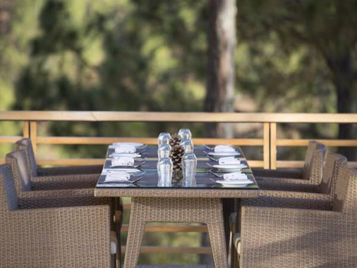 Dhensa Resort Πουνάχα Εξωτερικό φωτογραφία